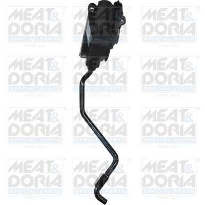 Accelerator Pedal Unit
